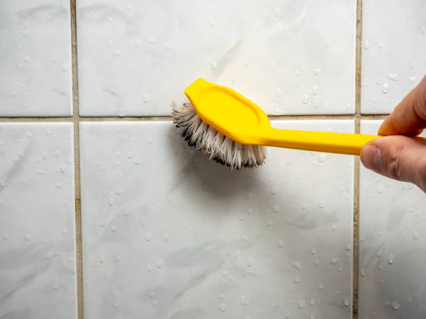 Best Fast Mold Removal  in Gardnerville, NV