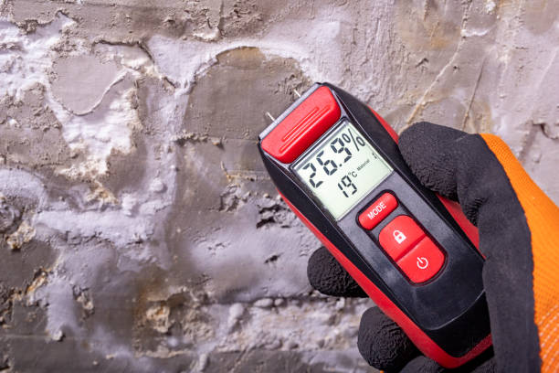 Best Affordable Mold Removal  in Gardnerville, NV
