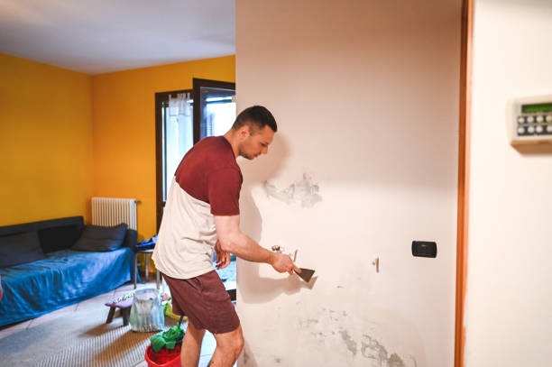 Best Attic Mold Removal  in Gardnerville, NV